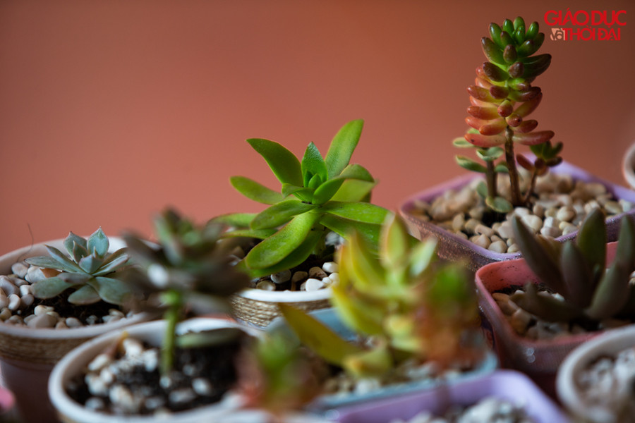 Và thông điệp bảo vệ môi trường từ những việc làm nhỏ nhất.