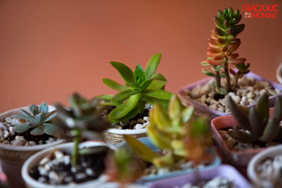 Và thông điệp bảo vệ môi trường từ những việc làm nhỏ nhất.