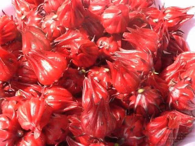 Hãy bảo vệ gan của bạn bằng những thức uống đơn giản nhưng cực hiệu quả.