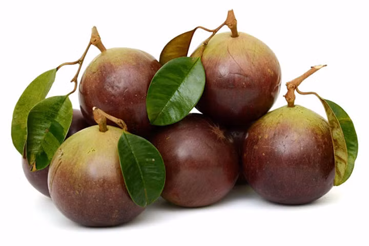 Tác dụng kỳ diệu từ quả tới thân và lá của cây vú sữa