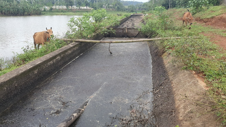 Khu vực bể lắng xây bằng bê tông ngoài nhà máy đặc quánh màu đen.