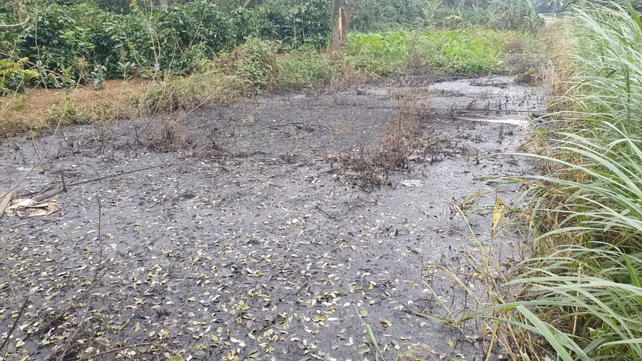 Tại bể lắng sinh học, do từ lâu không xử lý nên bốc mùi hôi. Tại bể lắng sinh học, do từ lâu không xử lý nên bốc mùi hôi.