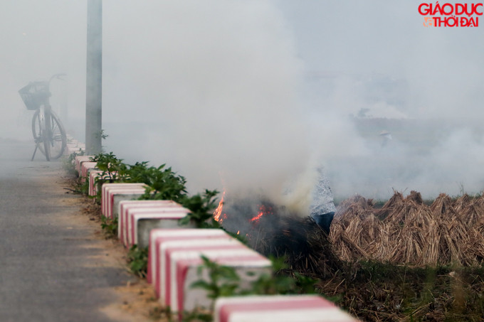 Nhiều hộ dân đốt rơm rạ ngay gần đường.