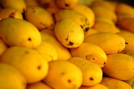 Lợi ích sức khỏe của xoài