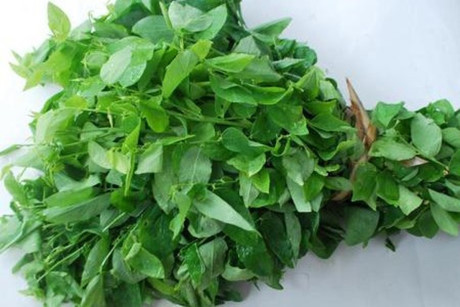 Chữa nhiệt miệng vô cùng đơn giản mà không tốn tiền - Ảnh 2 Chua nhiet mieng vo cung don gian ma khong ton tien - Anh 2