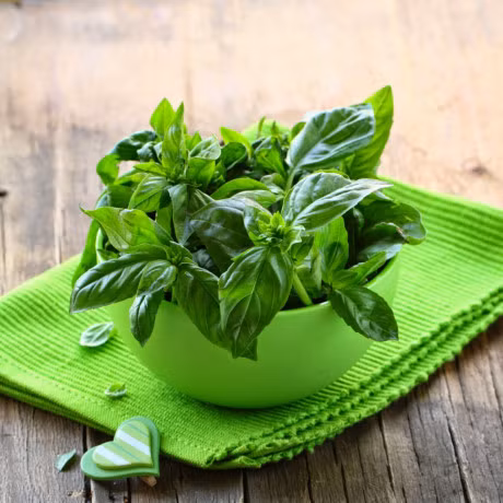 Bai thuoc hay tu cac loai rau hung khong nen bo qua - Anh 5