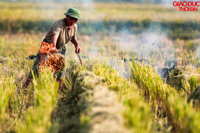 Người dân ngoại thành Hà Nội đốt rơm rạ sau vụ gặt.