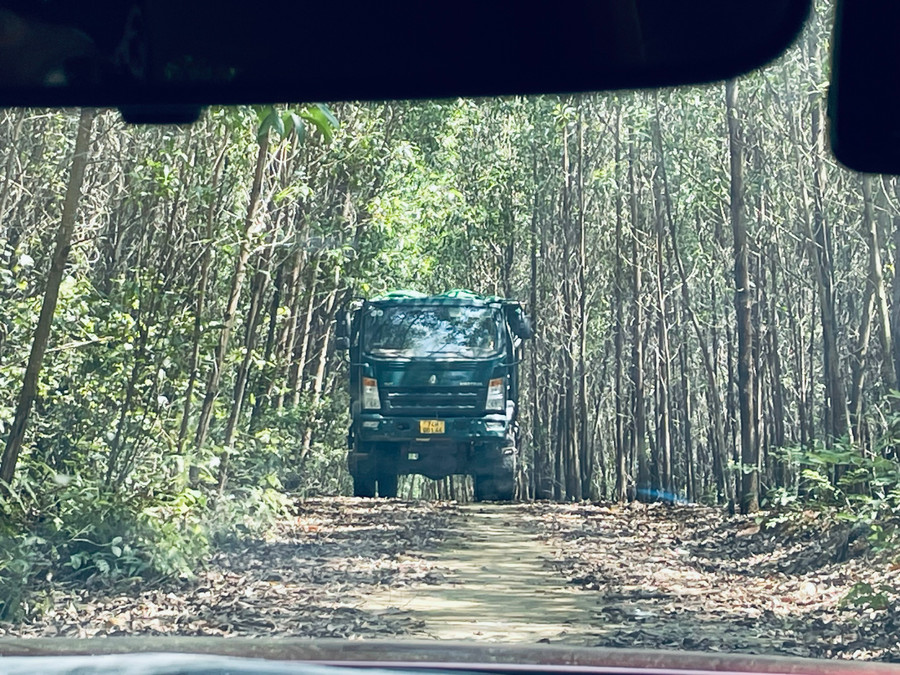 Một chiếc xe chở đất men theo con đường xuyên qua rừng tràm để ra bên ngoài.