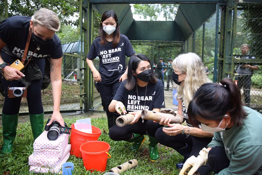 Tăng Thanh Hà cùng các nghệ sĩ khách mời được hướng dẫn chuẩn bị thức ăn cho các chú gấu.