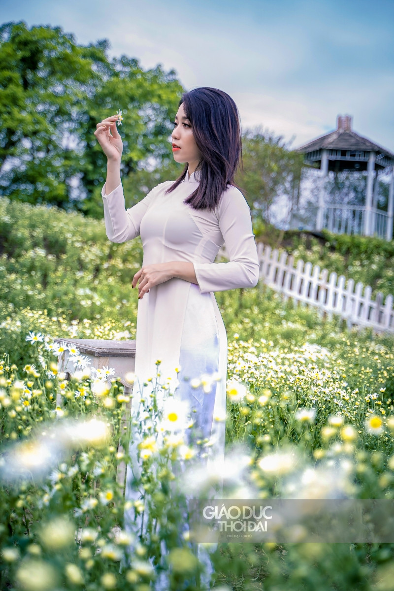 Giới trẻ thích thú chụp ảnh tại vườn cúc họa mi nở sớm nhất Hà Nội ảnh 4 Giới trẻ thích thú chụp ảnh tại vườn cúc họa mi nở sớm nhất Hà Nội ảnh 4