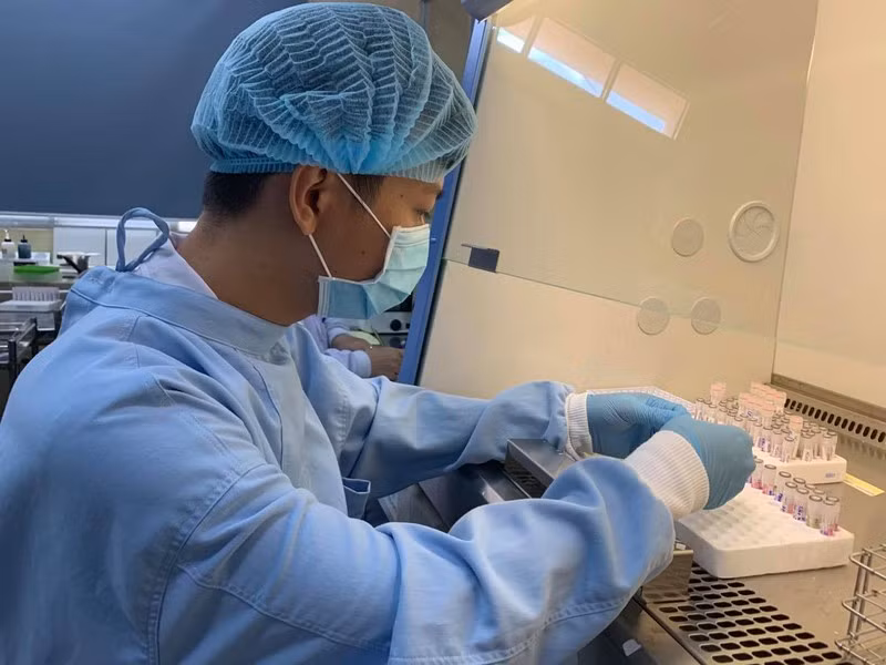 Công đoạn xử lý mẫu xét nghiệm virus SARS-CoV-2 tại Bệnh viện Bệnh Nhiệt đới. Ảnh: HL.