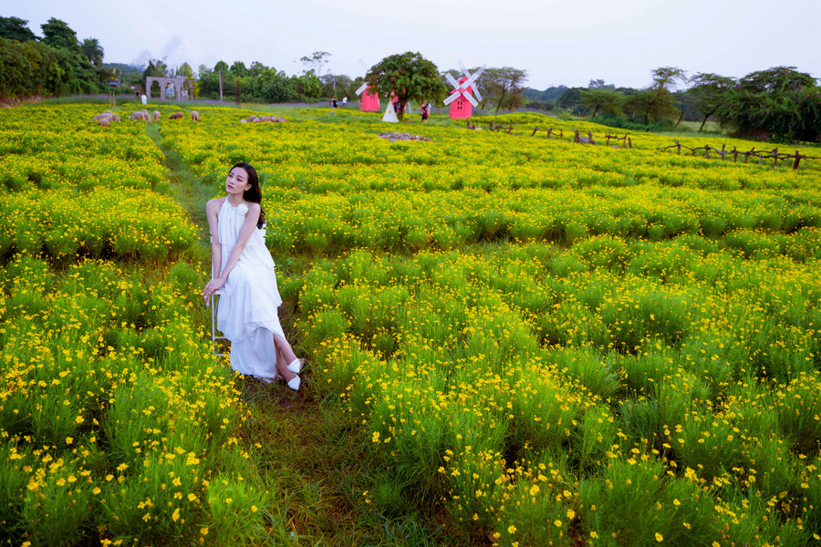 Cánh đồng hoa vàng thơ mộng có lẽ là một trong những lựa chọn hợp lý nhất với những người yêu hoa, thích check - in.