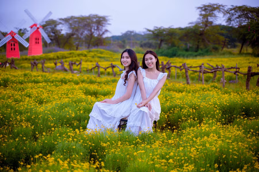 Những cô gái trẻ dịu dàng, quyến rũ hơn khi đứng giữa vườn hoa bạt ngàn một màu vàng.