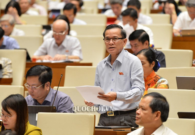 Đại biểu Võ Đình Tín