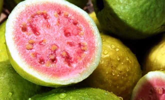 Tác dụng của quả ổi và những lưu ý khi ăn