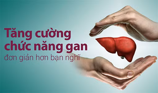 Bảo vệ và tăng cường chức năng gan là việc quan trọng