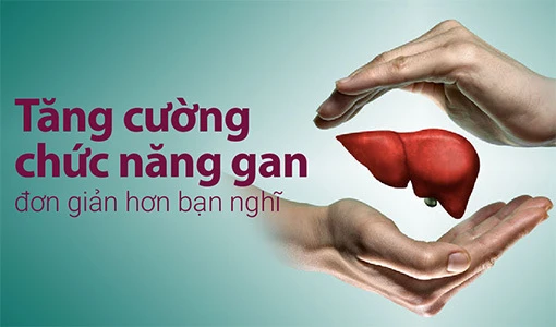 Bảo vệ và tăng cường chức năng gan là việc quan trọng