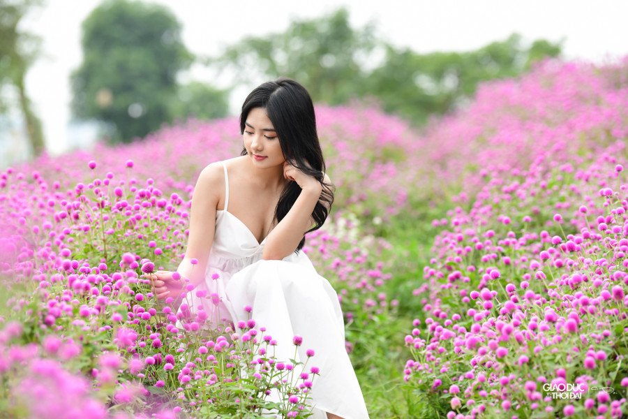 Bạn Thanh Huyền (Hưng Yên), đã có kinh nghiệm làm mẫu ảnh nhưng đây là lần đầu tiên cô chụp với cúc bách nhật.