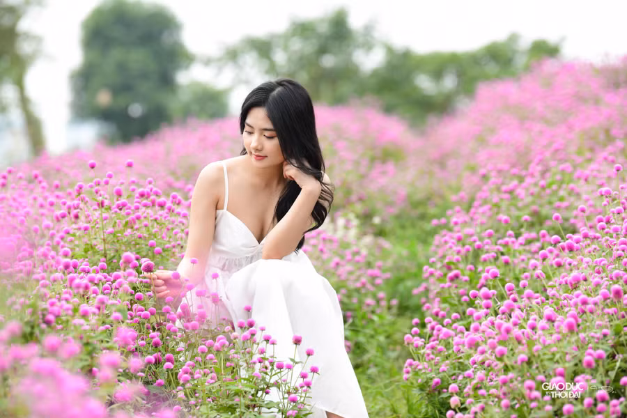 Bạn Thanh Huyền (Hưng Yên), đã có kinh nghiệm làm mẫu ảnh nhưng đây là lần đầu tiên cô chụp với cúc bách nhật.