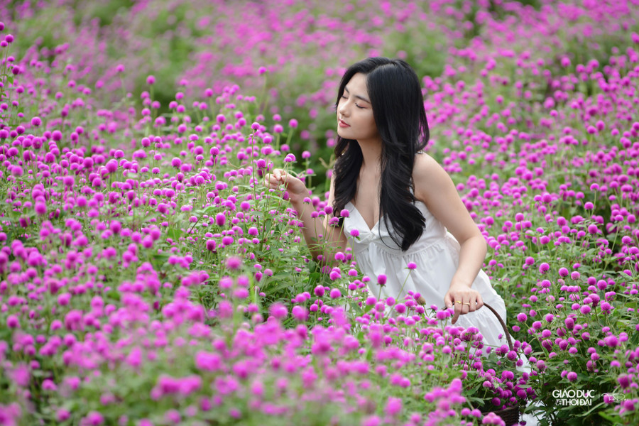 Nhiều bạn trẻ cho biết có cảm giác như lạc vào xứ sở thần tiên bởi độ rộng và vẻ đẹp của vườn cúc.