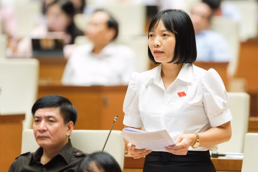 Đại biểu Quốc hội Nguyễn Thị Việt Nga