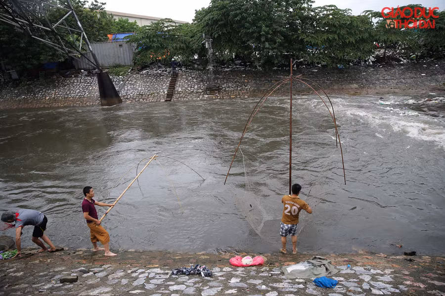 Ngay từ sáng nhiều người dân đã mang vó ra sông Kim Ngưu, điểm tại nhiều cửa xả để bắt cá
