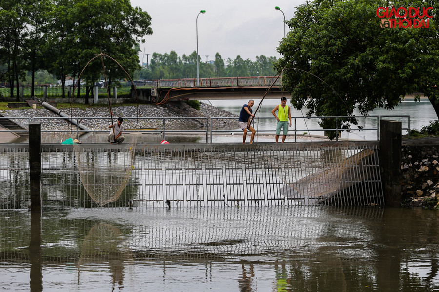 Tại rào chắc rác, khu vực khác cũng thuộc sông Kim Ngưu nơi đây cũng có khá đông người ngồi rải rác để bắt cá