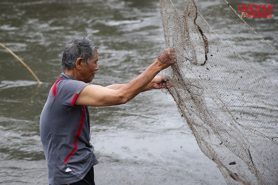Theo một người dân sống gần khu vực cho biết, tại nhiều điểm trên sông Kim Ngưu, nhất là những điểm cửa xả nước, cứ những ngày mưa lớn, nước từ nhiều ao hồ đổ ra sông, theo dòng nước cá cũng theo ra, có những con cá nặng đến vài kg