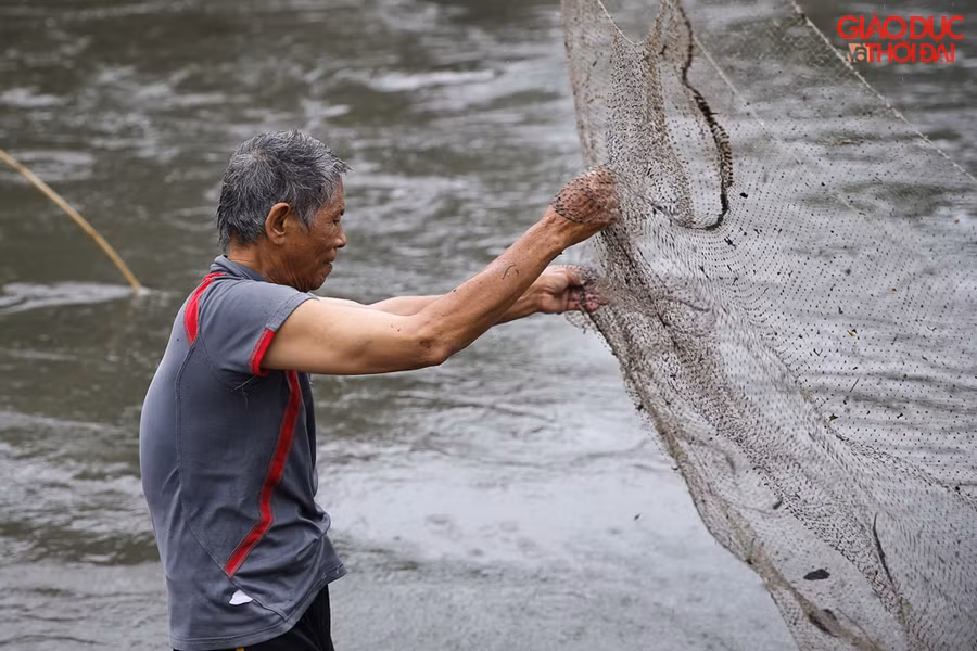 Theo một người dân sống gần khu vực cho biết, tại nhiều điểm trên sông Kim Ngưu, nhất là những điểm cửa xả nước, cứ những ngày mưa lớn, nước từ nhiều ao hồ đổ ra sông, theo dòng nước cá cũng theo ra, có những con cá nặng đến vài kg
