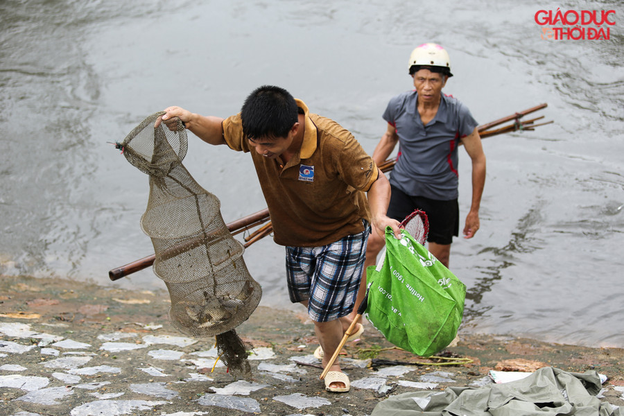 Trong sáng ngày hôm nay, lượng cá bắt được không nhiều như chiều hôm qua