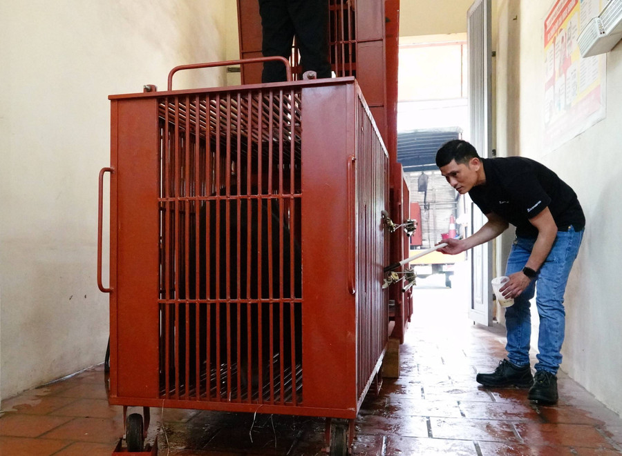 Như vậy, tổng số gấu mà Tổ chức Động vật Châu Á tổ chức cứu hộ ở trên địa bàn thành phố Hà Nội từ năm 2019 tới nay là 41 cá thể. Theo thông tin của Chi cục Kiểm lâm Hà Nội, tại xã Phụng Thượng hiện còn dưới 90 cá thể gấu nuôi trong các hộ gia đình.