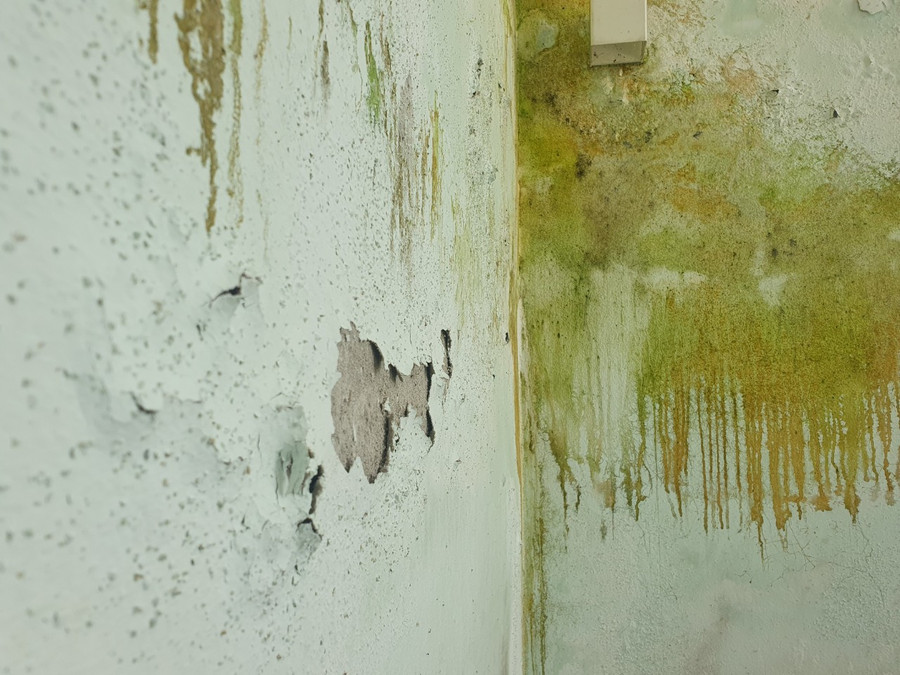 Trên tường hiện bị bong tróc mặt sơn, hoen ố.