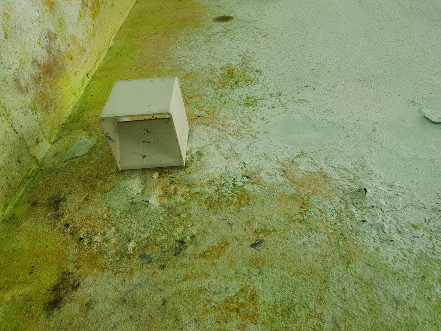 Mặt tường bị xuống cấp, hư hỏng, mùa mưa thì ẩm ướt.