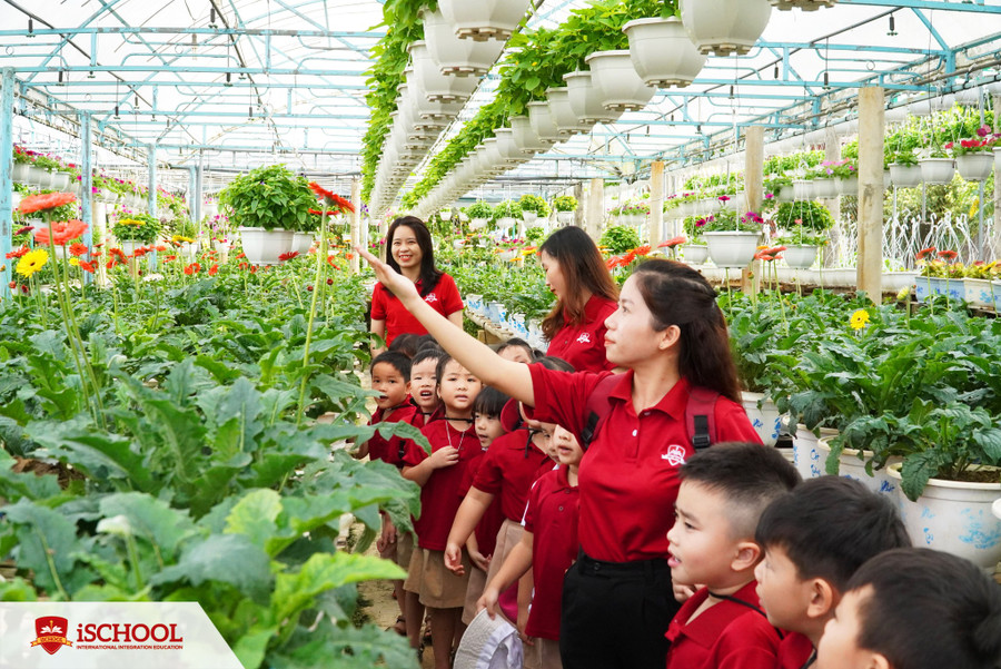 Học sinh Tiểu học trải nghiệm ở mô hình trồng hoa. Học sinh Tiểu học trải nghiệm ở mô hình trồng hoa.