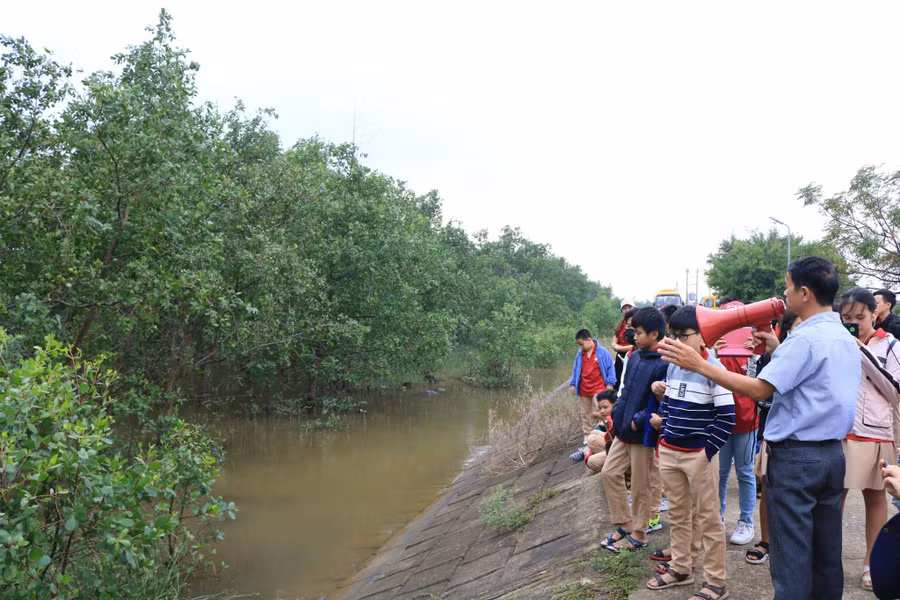 Học sinh tham quan trải nghiệm ở rừng ngập mặn Bắc Phước. Học sinh tham quan trải nghiệm ở rừng ngập mặn Bắc Phước.