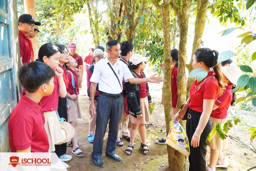 Học sinh tham quan vườn trà cổ ở huyện Cam Lộ. Học sinh tham quan vườn trà cổ ở huyện Cam Lộ.