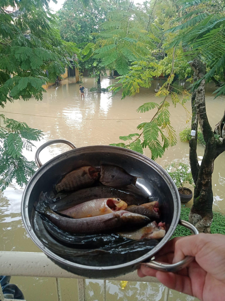 Cá bắt được trong sân trường để &quot;cải thiện&quot; bữa ăn cho các thầy giáo đang bị cô lập do lũ lớn.