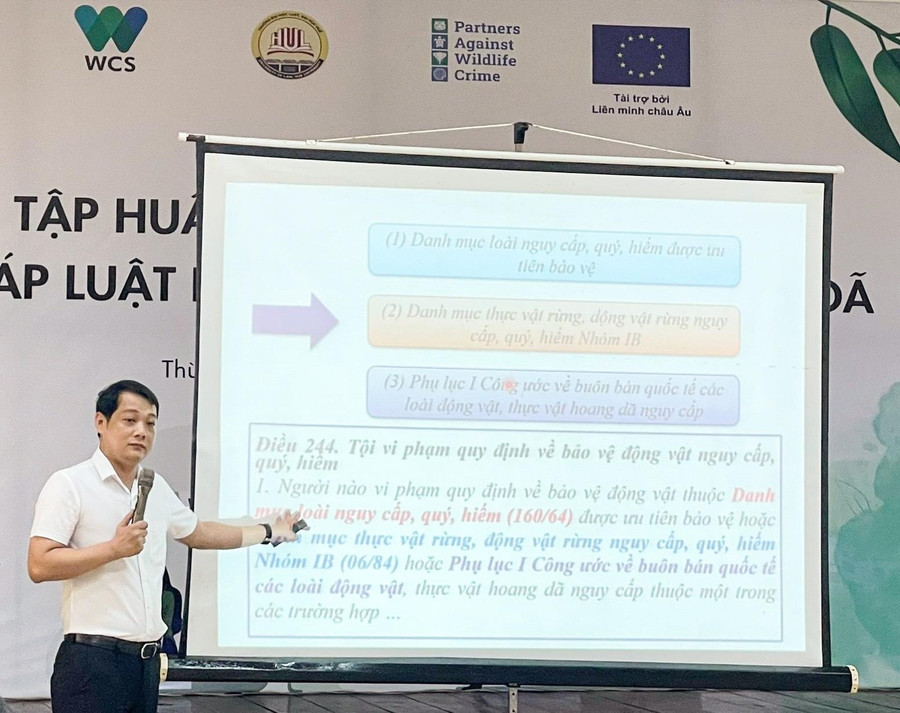 ThS. Trần Đình Hải - Viện Kiểm sát Nhân dân tối cao trình bày tại Tập huấn với chủ đề: “Pháp luật Việt Nam về bảo vệ động vật hoang dã và những vấn đề khó khăn, vướng mắc trong quy định pháp luật để xử lý tội phạm và vi phạm pháp luật liên quan đến động vật hoang dã”.