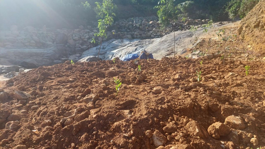 Ông Bình đang khắc phục lại một số khu vực bạt đồi, chặn suối. Ông Bình đang khắc phục lại một số khu vực bạt đồi, chặn suối.