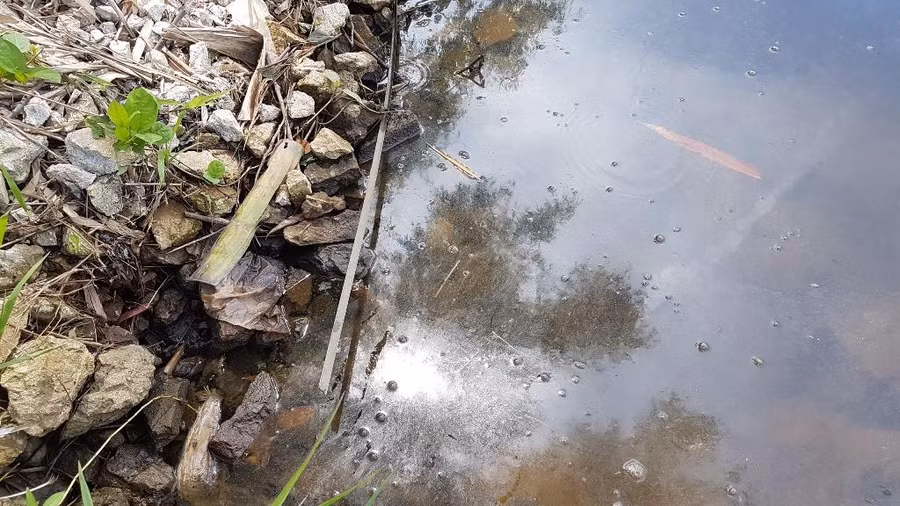 Mặt nước sông bên dưới khá bẩn do đất đá trượt xuống.