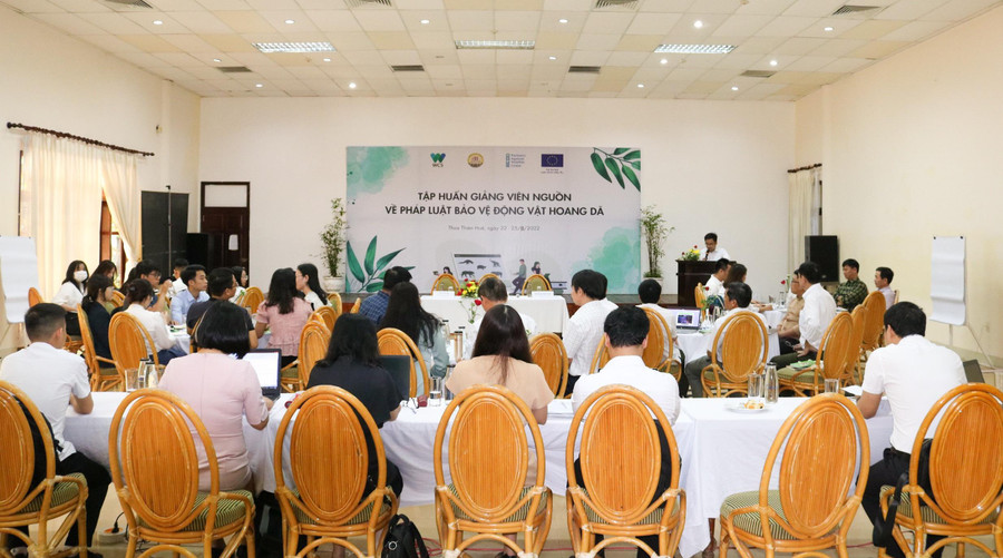 Khung cảnh buổi tập huấn giảng viên nguồn về “Pháp luật bảo vệ động vật hoang dã”.