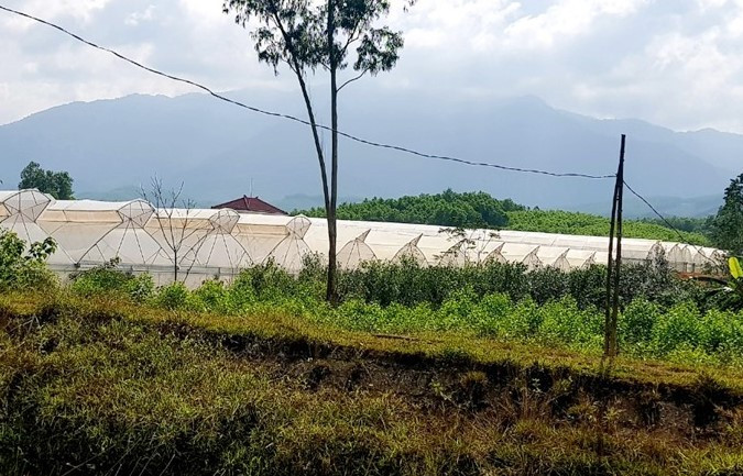 Dự án Nuôi trồng nông nghiệp sạch Lộc An được Công ty Cổ phần Cấp nước Thừa Thiên - Huế thực hiện theo hình thức chỉ định thầu chứ không qua đấu thầu và nhiều sai phạm khác.