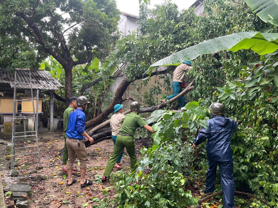 Công an phường Thuận Lộc, TP Huế giúp người dân có cây gãy đổ trong vườn. Công an phường Thuận Lộc, TP Huế giúp người dân có cây gãy đổ trong vườn.