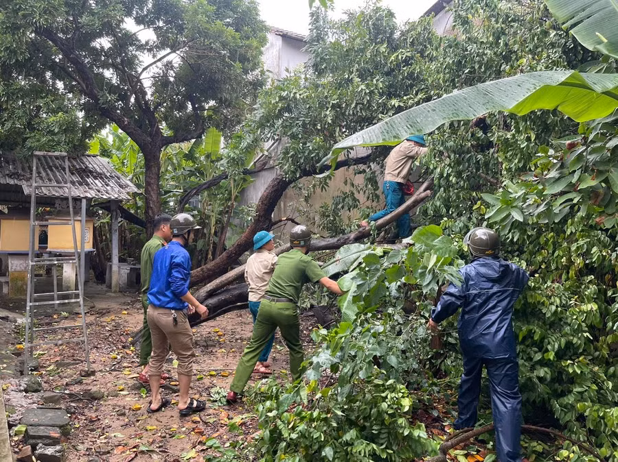Công an phường Thuận Lộc, TP Huế giúp người dân có cây gãy đổ trong vườn.