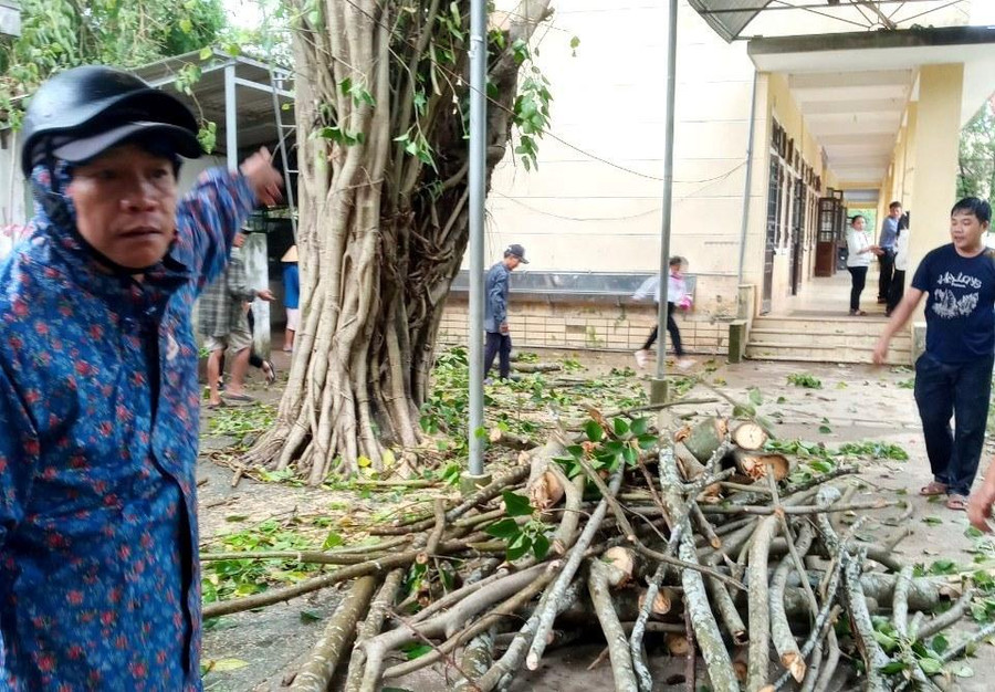 Bà Cái Cẩm Hương - Trưởng Phòng GD&ĐT huyện Phú Lộc cho biết, đơn vị đã thông báo khẩn đến các đơn vị nhà trường phải chằng chống nhà cửa, cơ sở trường học; các khu nhà tạm kém kiên cố phải có phương án di dời trước khi bão đổ bộ vào đất liền; tổ chức cắt tỉa cây xanh hạn chế đổ ngã do bão. Thầy cô giáo chủ động di dời máy móc, thiết bị dạy học, tài liệu, hồ sơ lên tầng cao hoặc chuyển đến nơi không bị nguy cơ ngập lụt để tránh hư hỏng. Bà Cái Cẩm Hương - Trưởng Phòng GD&ĐT huyện Phú Lộc cho biết, đơn vị đã thông báo khẩn đến các đơn vị nhà trường phải chằng chống nhà cửa, cơ sở trường học; các khu nhà tạm kém kiên cố phải có phương án di dời trước khi bão đổ bộ vào đất liền; tổ chức cắt tỉa cây xanh hạn chế đổ ngã do bão. Thầy cô giáo chủ động di dời máy móc, thiết bị dạy học, tài liệu, hồ sơ lên tầng cao hoặc chuyển đến nơi không bị nguy cơ ngập lụt để tránh hư hỏng.