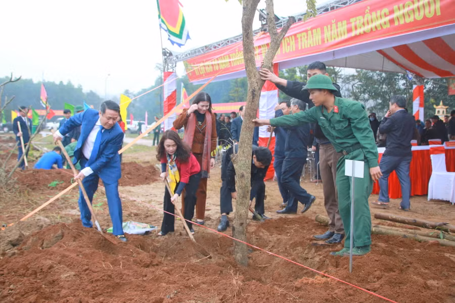 Lãnh đạo tỉnh Quảng Trị đã trồng 50 cây giáng hương ở Khu di tích Tân Sở.