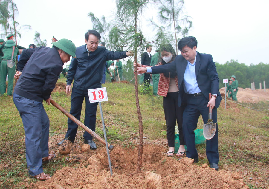 Tết trồng cây được tỉnh Quảng Trị duy trì vào mỗi dịp đầu Xuân.