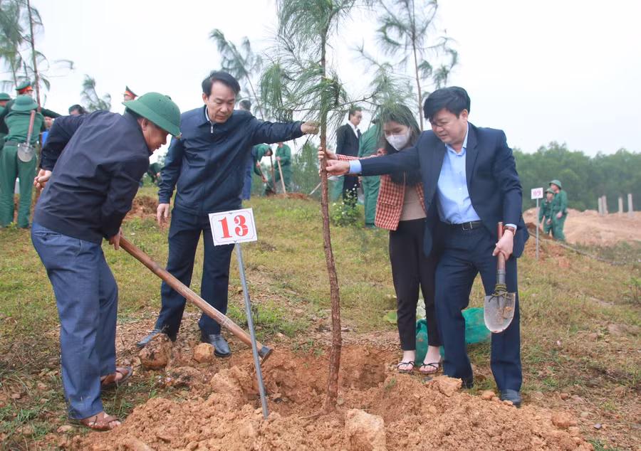 Tết trồng cây được tỉnh Quảng Trị duy trì vào mỗi dịp đầu Xuân.