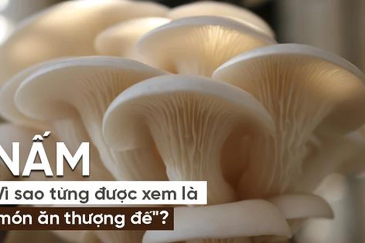 7 món nấm phổ biến tốt nhất cho sức khỏe: Tận dụng tốt sẽ đỡ uống thuốc