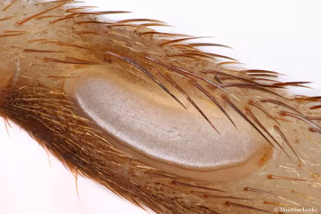 Cuoc song va nhung dieu bi mat vo cung thu vi tren the gioi (P1) - Anh 8